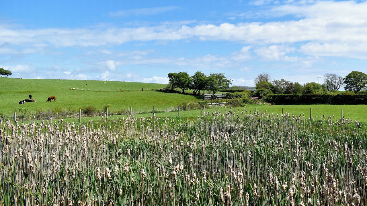 Photo of Outdoor in Lindal in Furness