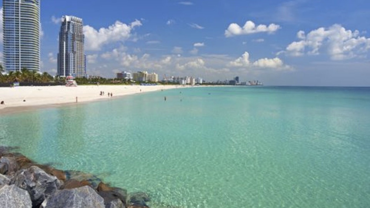 Photo of Others in Liberty City