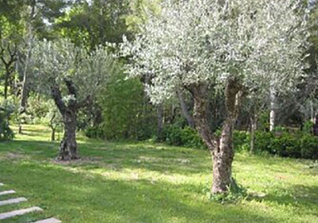 Photo of Outdoor in Pernes-les-Fontaines