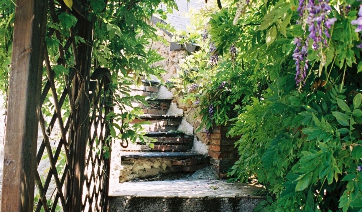 Photo of Others in Brion