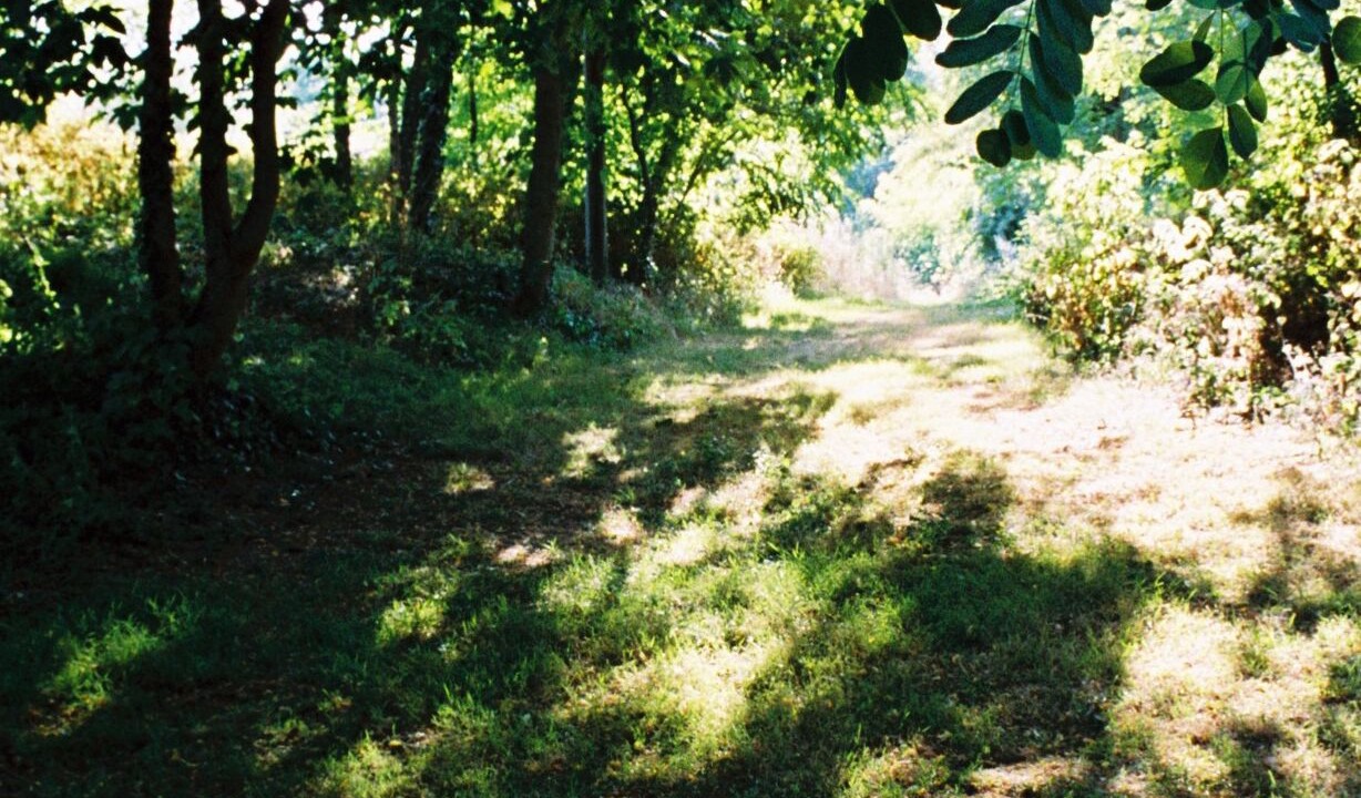 Photo of Others in Brion