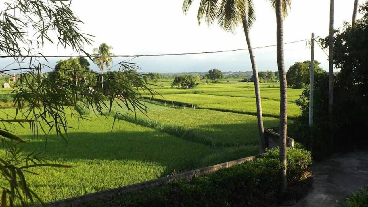 Photo of Outdoor in Sawan