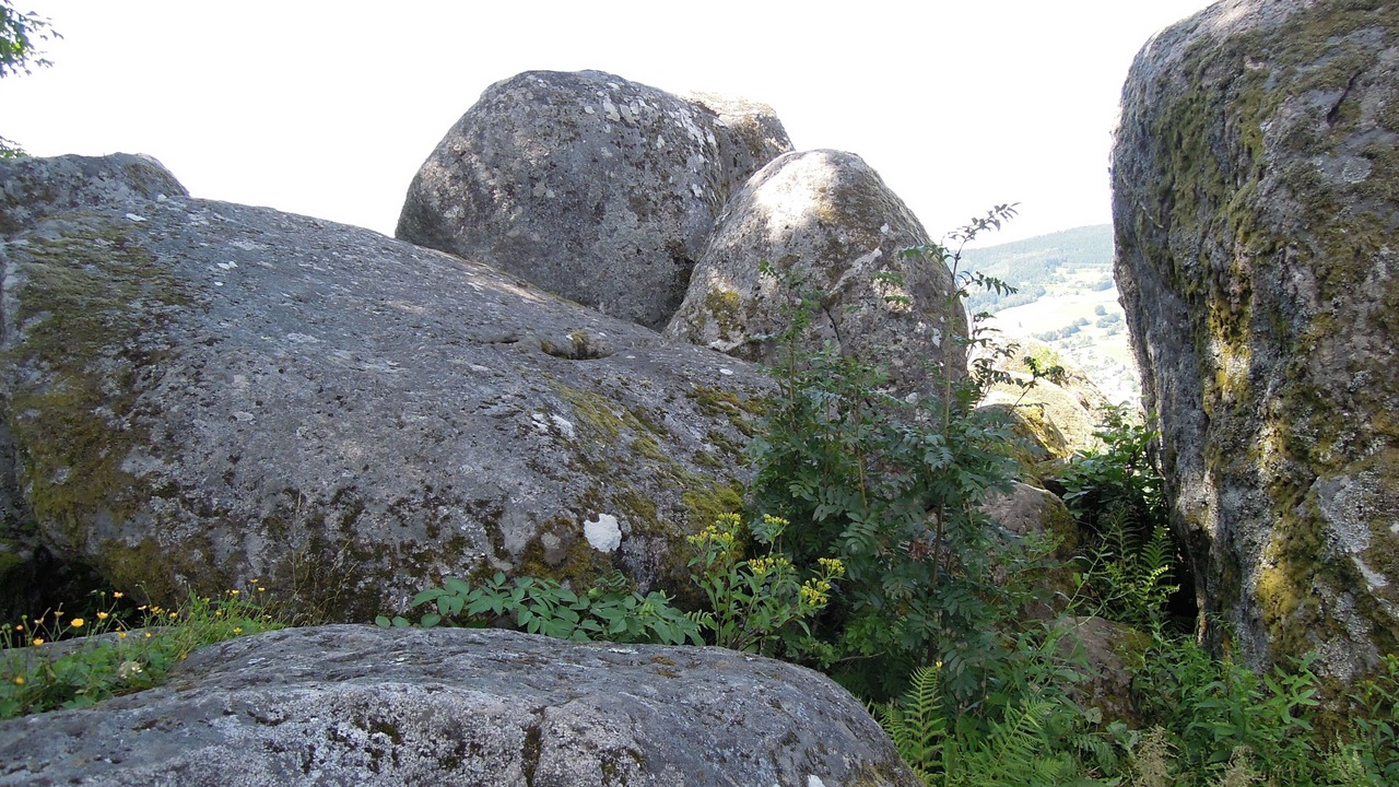 Photo of Outdoor in Fraize