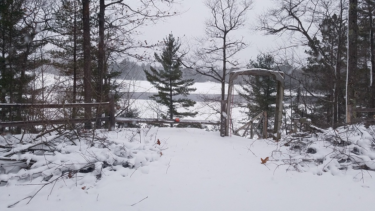 Photo of Others in Three Lakes