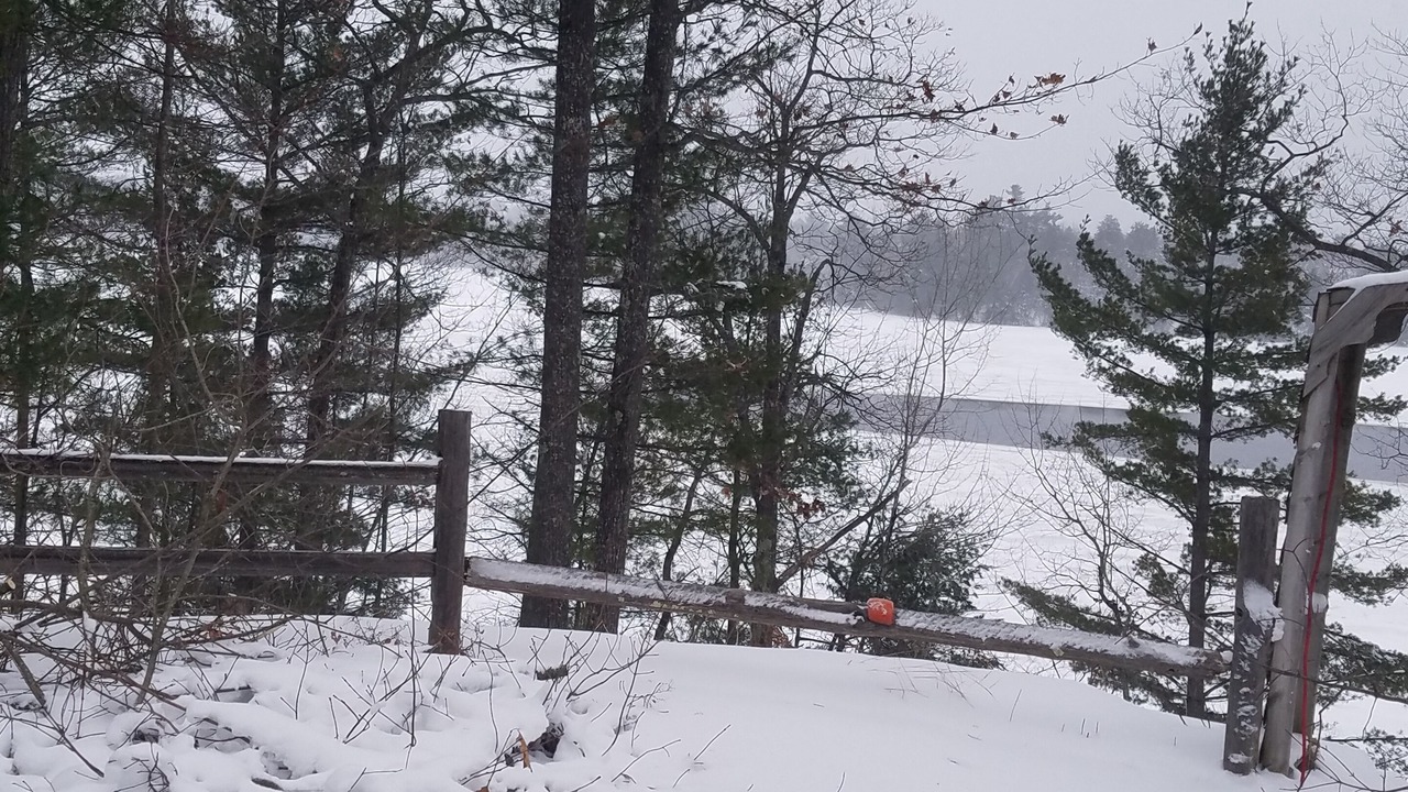 Photo of Others in Three Lakes