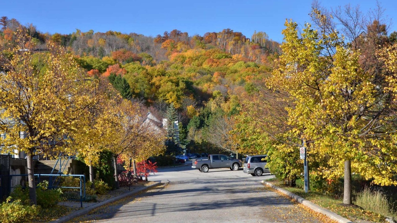 Photo of Outdoor in Craigleith