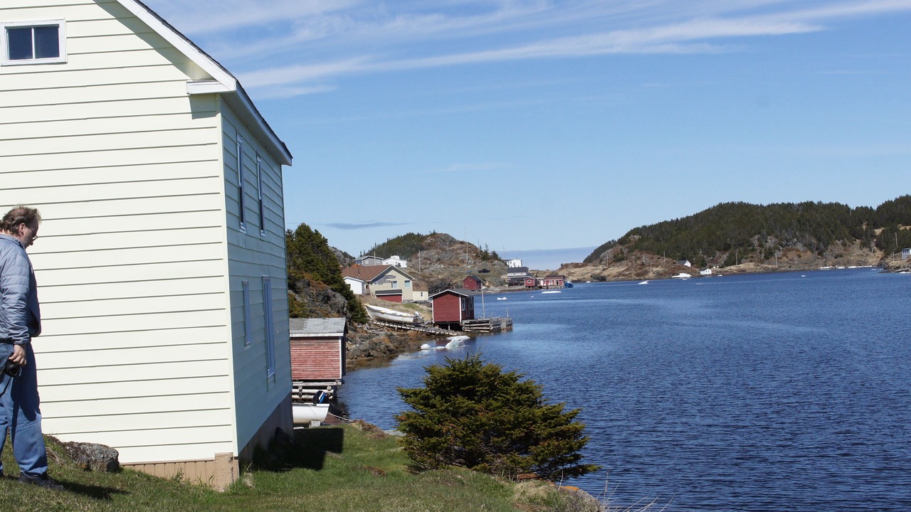 Photo of Others in Salt Harbour