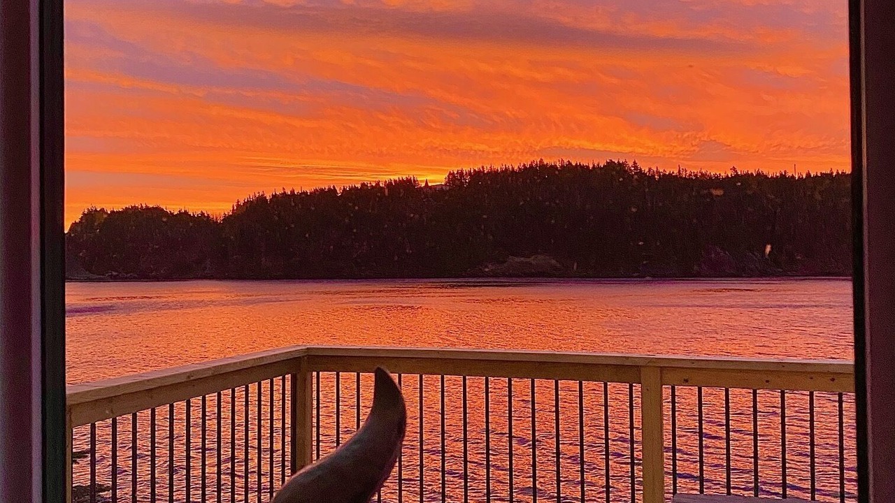 Photo of Outdoor in Salt Harbour