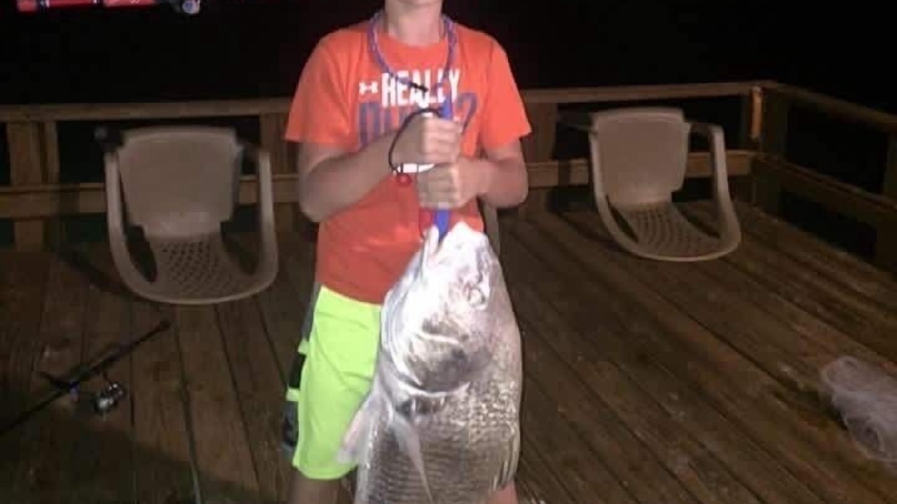 Photo of Others in Lamar