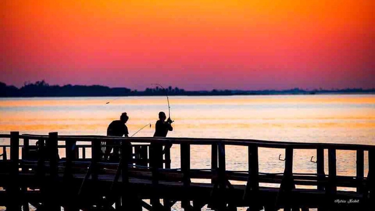 Photo of Others in Lamar