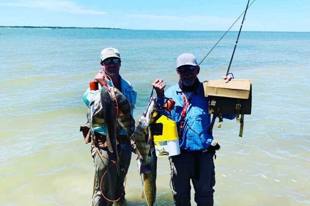 Photo of Others in Lamar