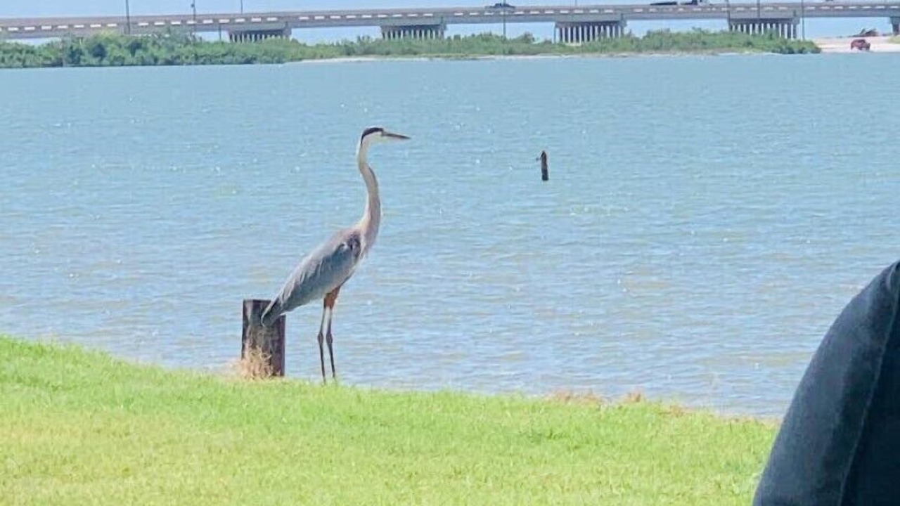 Photo of Outdoor in Lamar