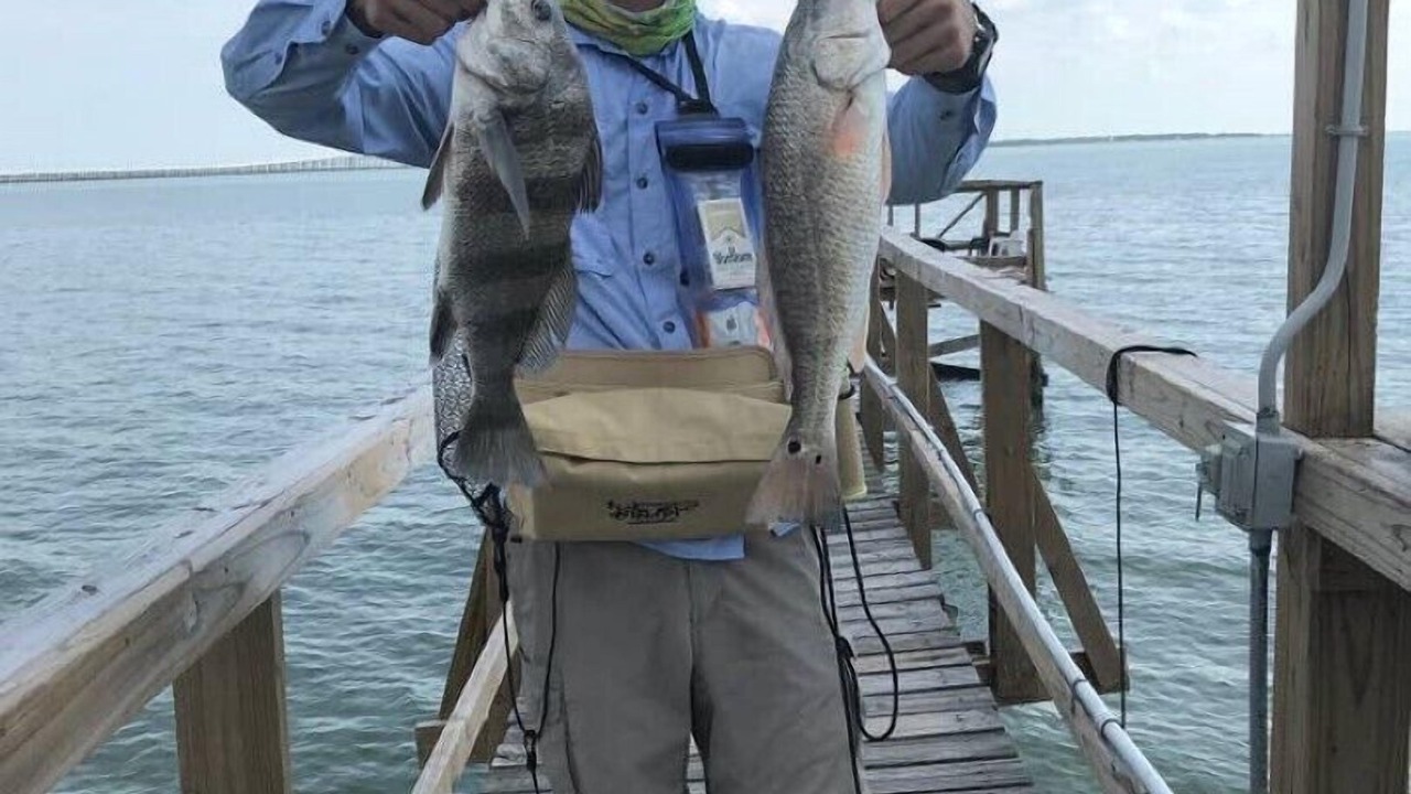 Photo of Others in Lamar