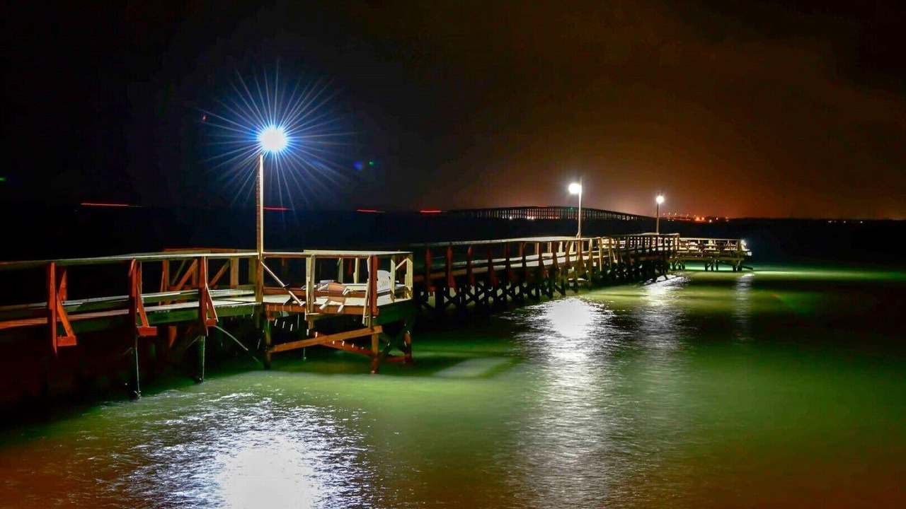 Photo of Others in Lamar