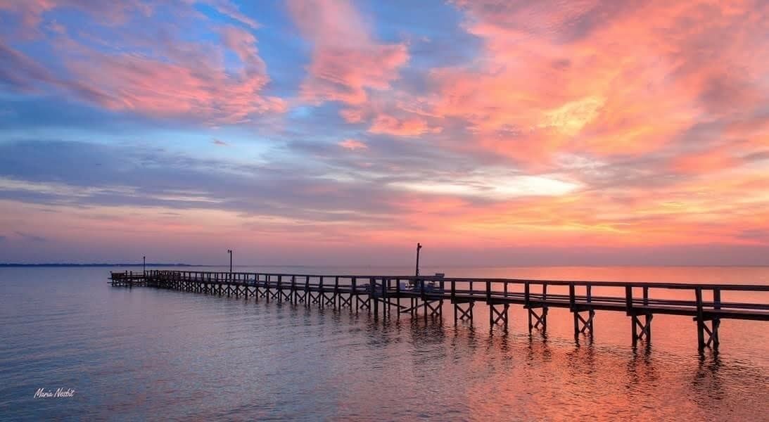 Photo of Others in Lamar