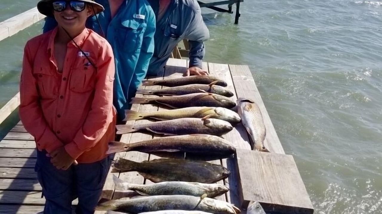 Photo of Others in Lamar