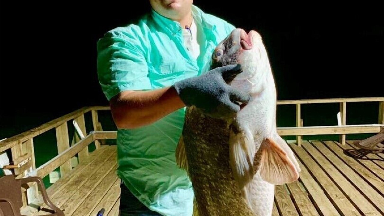 Photo of Others in Lamar