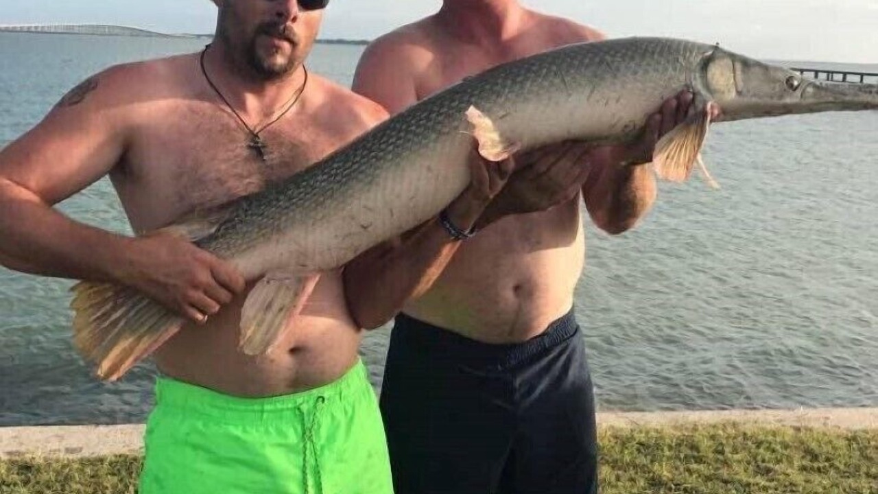 Photo of Others in Lamar