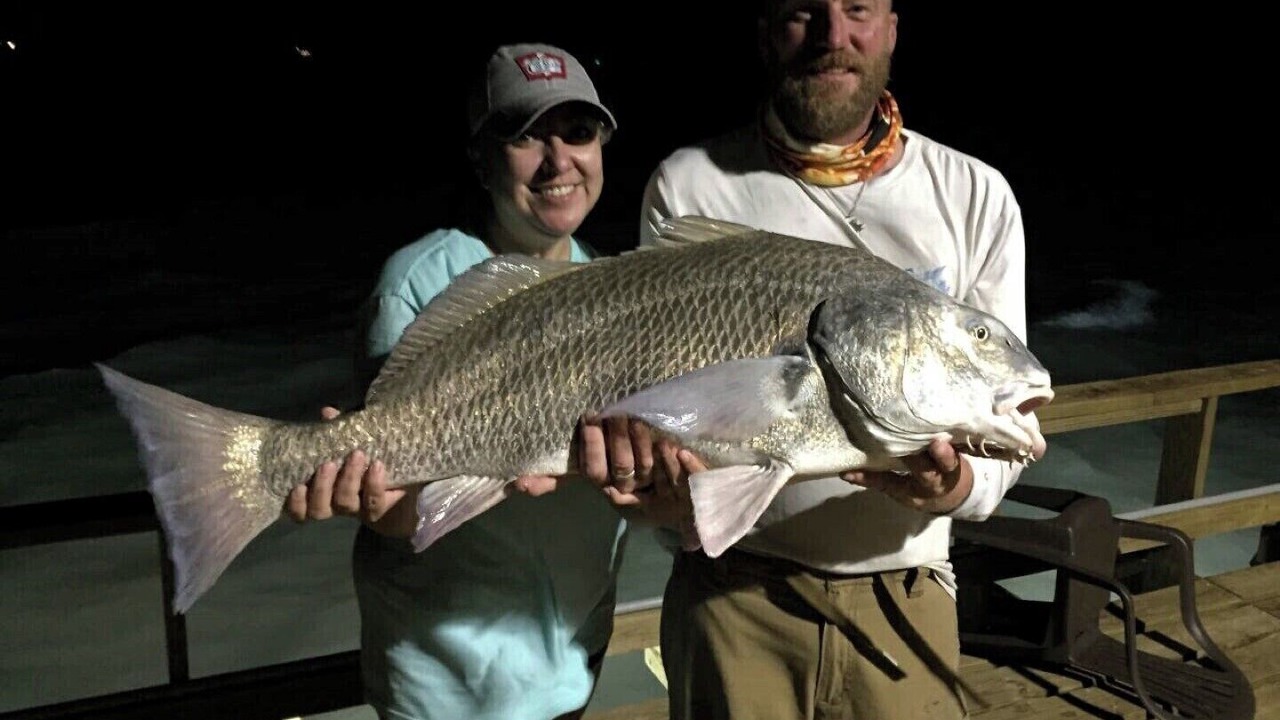 Photo of Others in Lamar