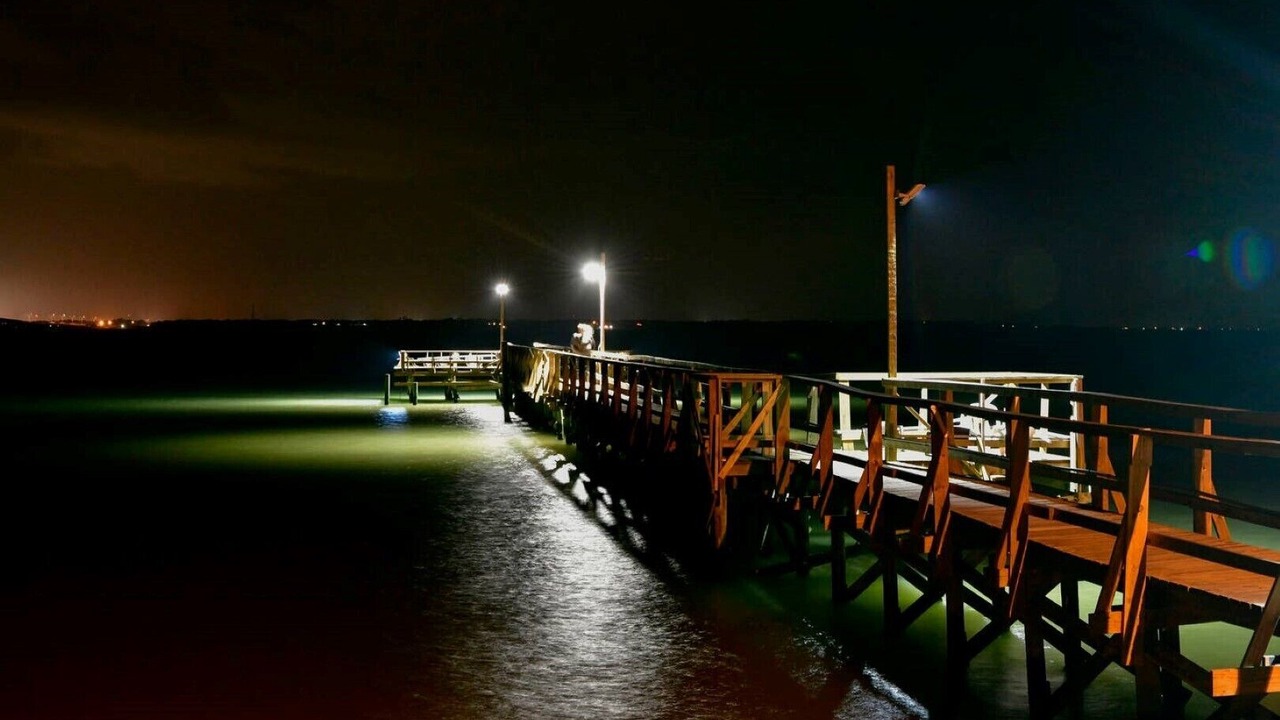 Photo of Others in Lamar