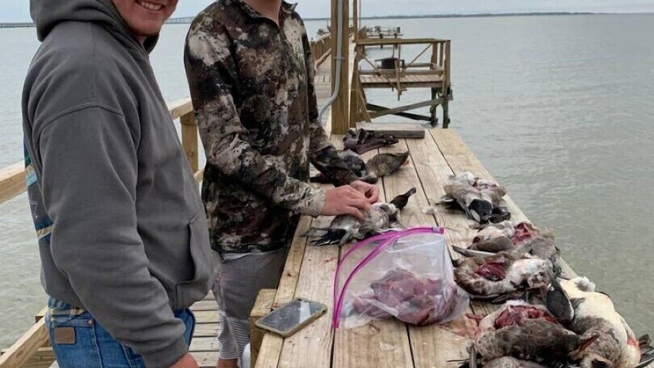 Photo of Others in Lamar