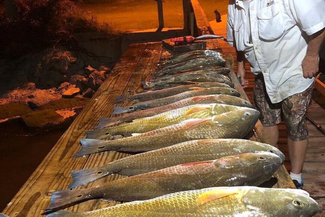 Photo of Outdoor in Lamar