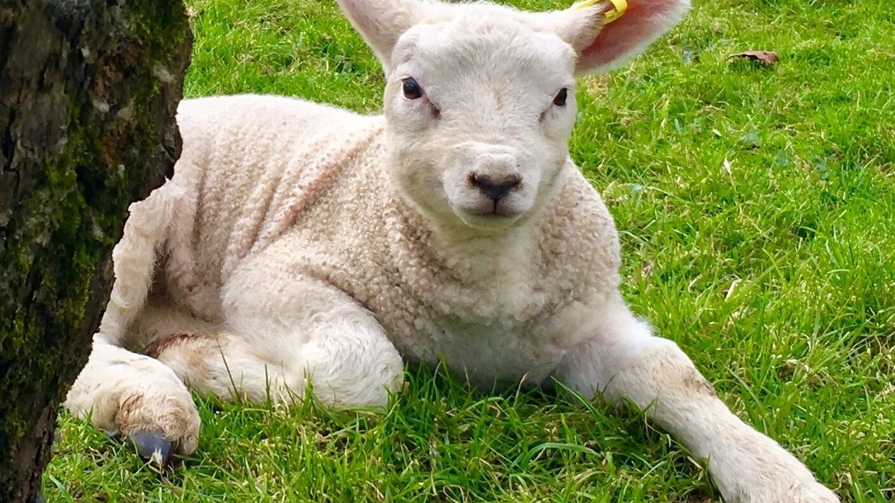 Photo of Outdoor in Bodenham