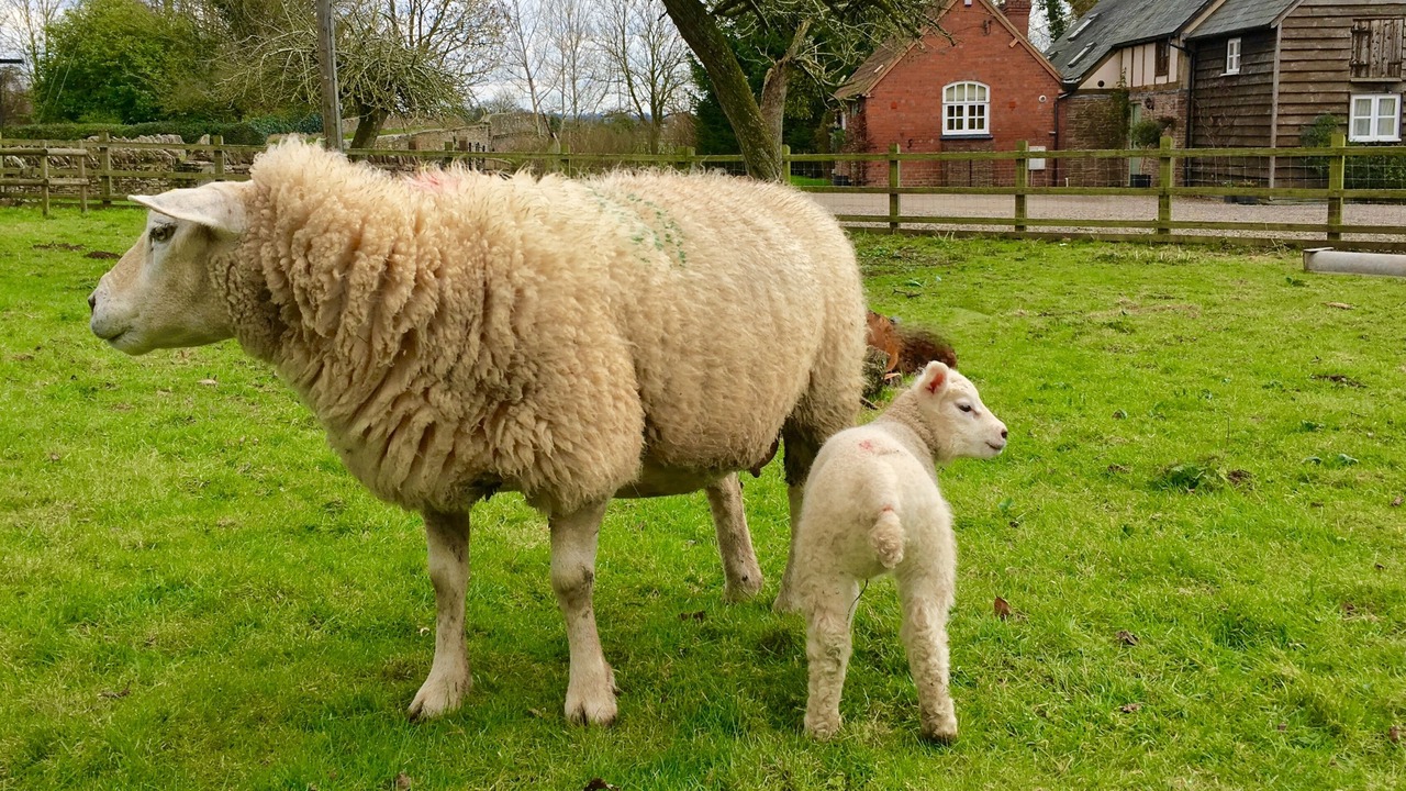 Photo of Outdoor in Bodenham