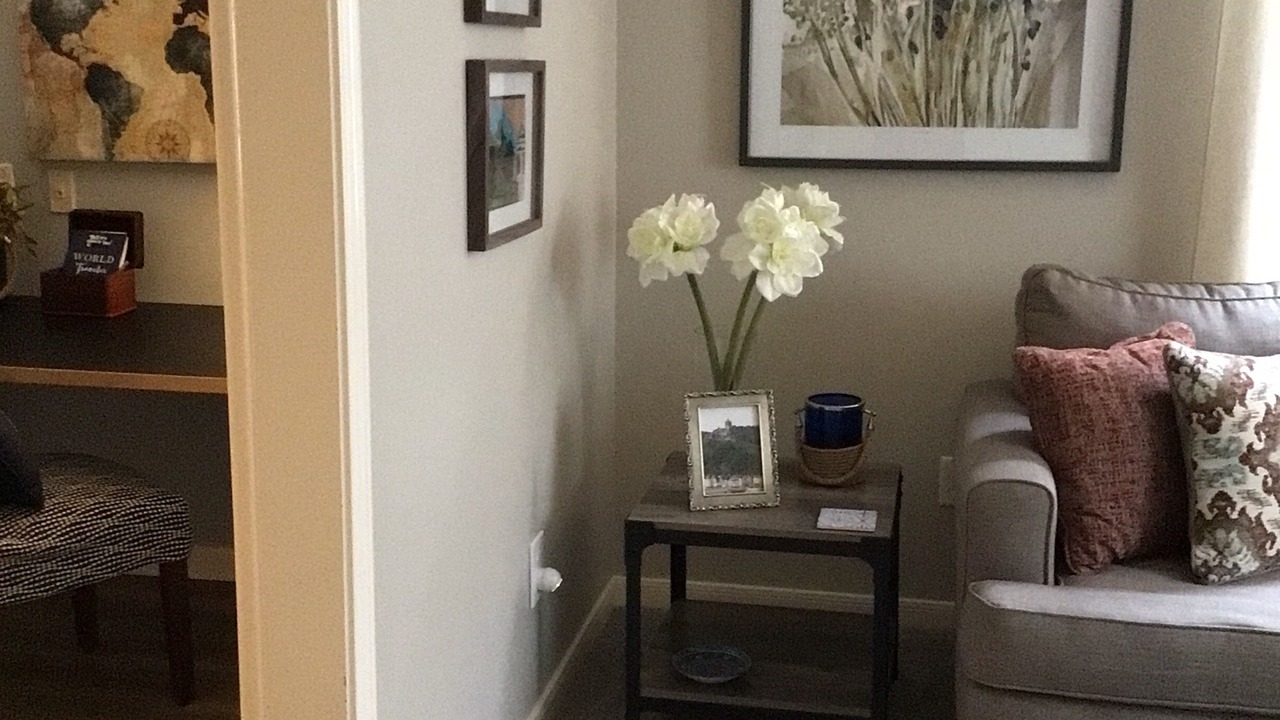 Photo of Livingroom in Katy