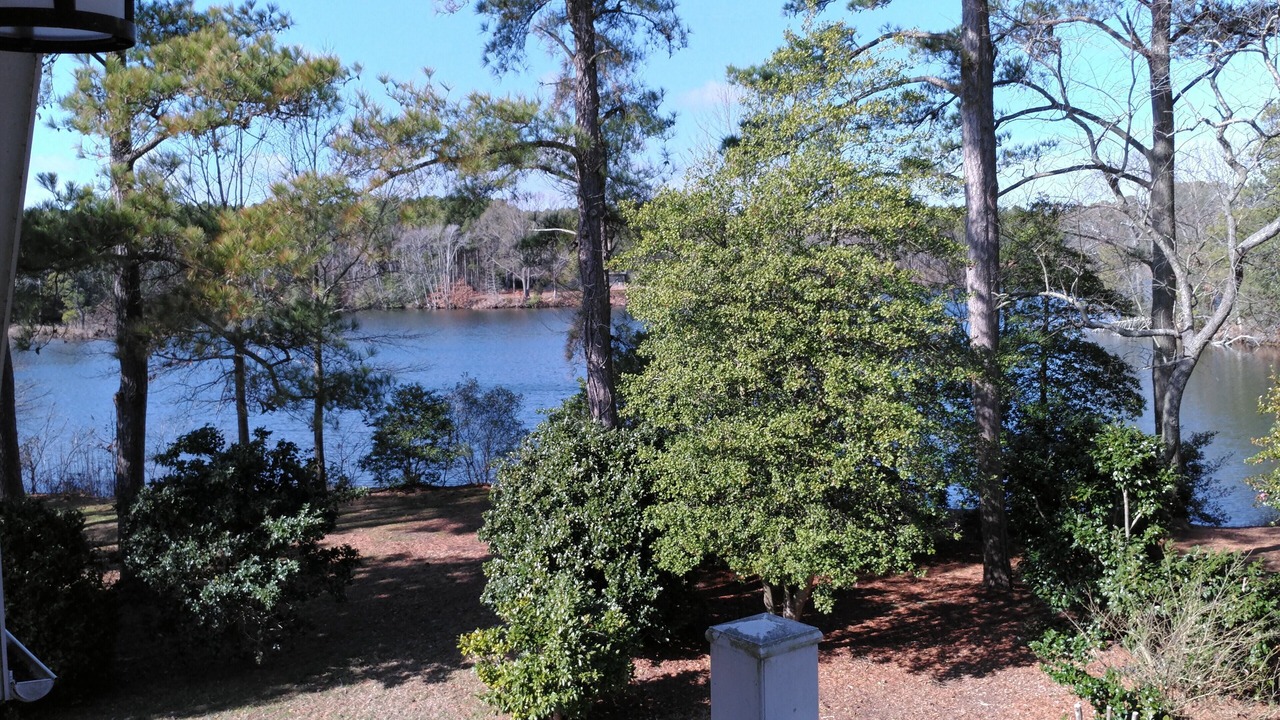 Photo of Outdoor in Reedville