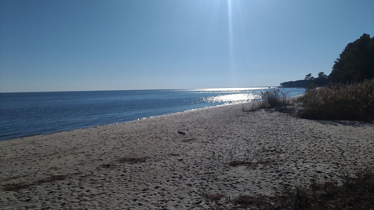 Photo of Others in Reedville