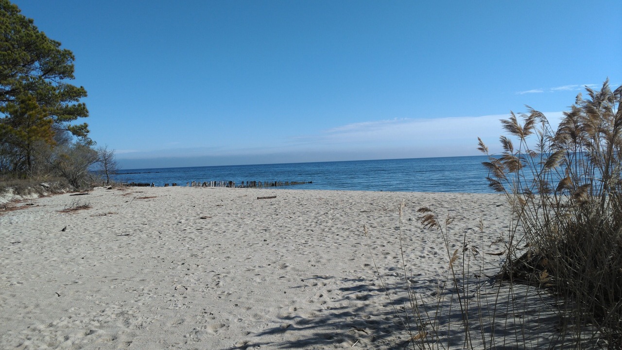 Photo of Others in Reedville