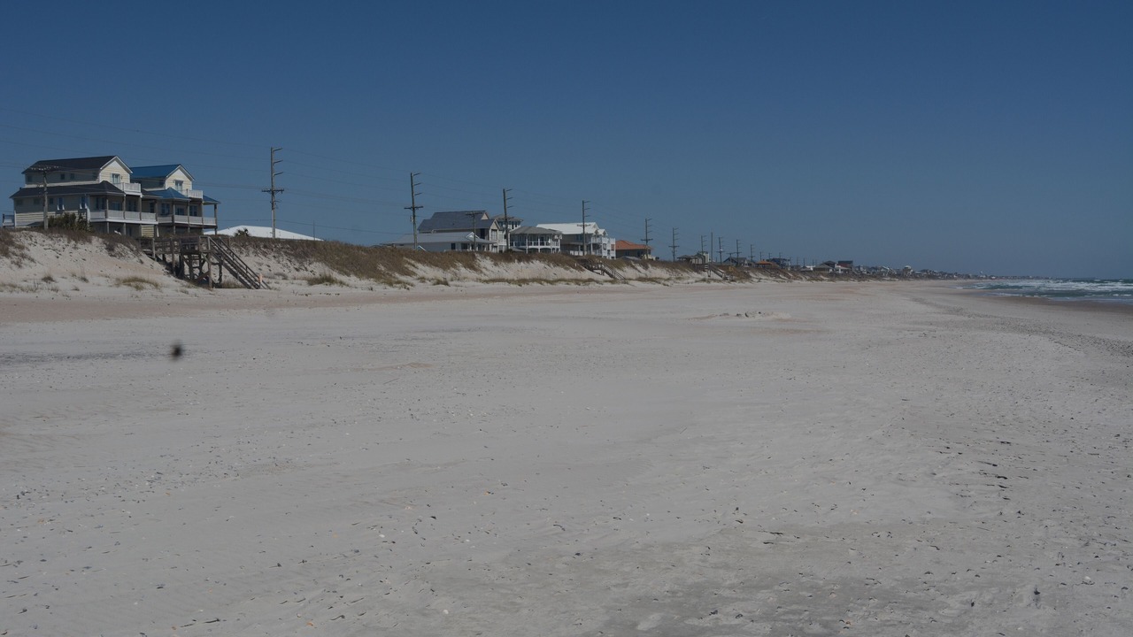Photo of Others in Surf City