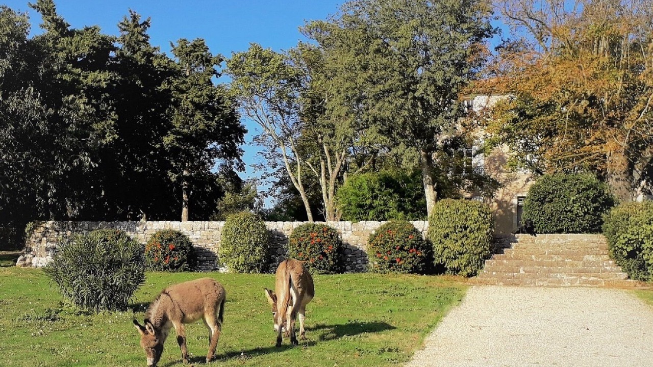 Photo of Outdoor in Saint-Maximin-la-Sainte-Baume