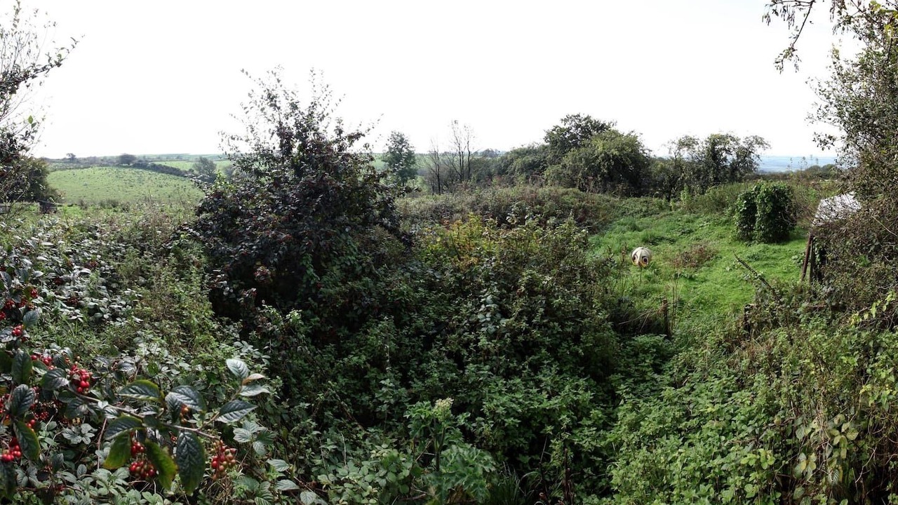 Photo of Others in Cenarth