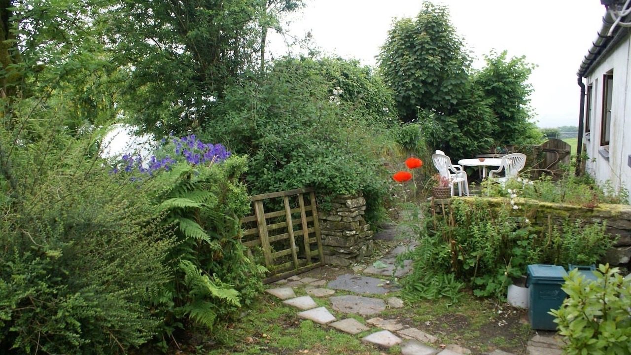 Photo of Others in Cenarth