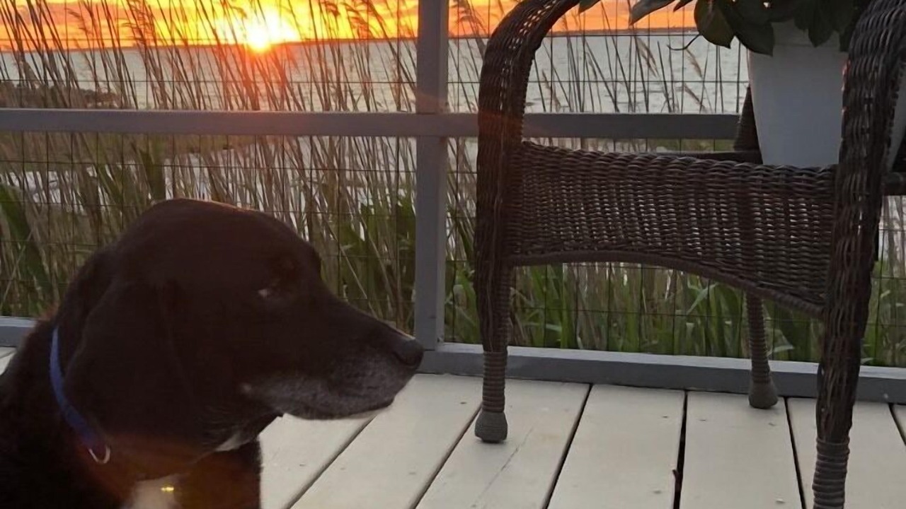 Photo of Outdoor in Bayberry Dunes