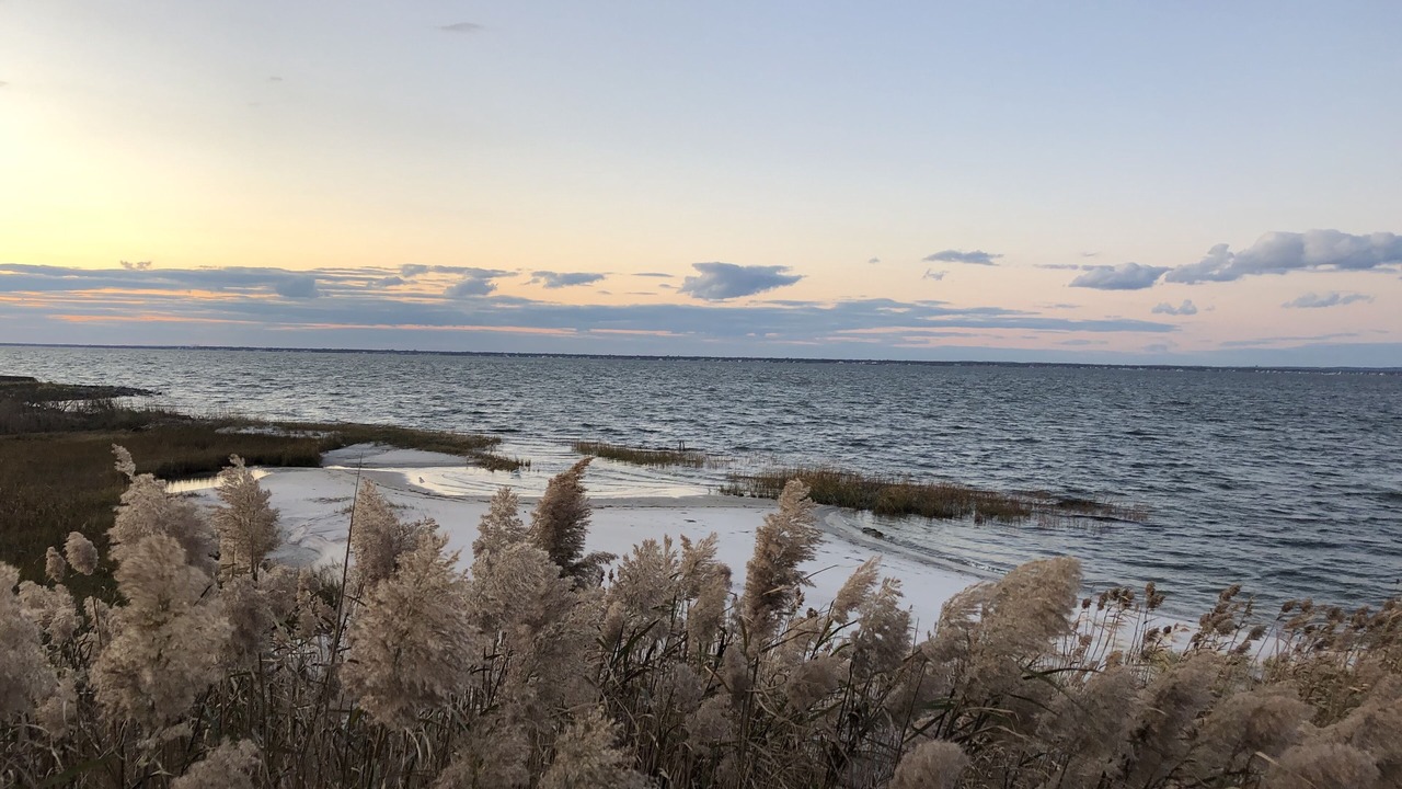 Photo of Others in Bayberry Dunes