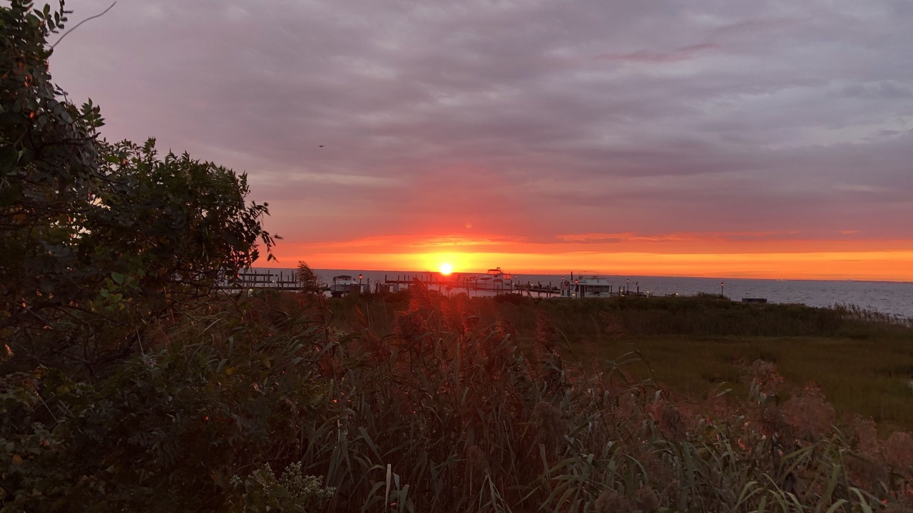 Photo of Others in Bayberry Dunes