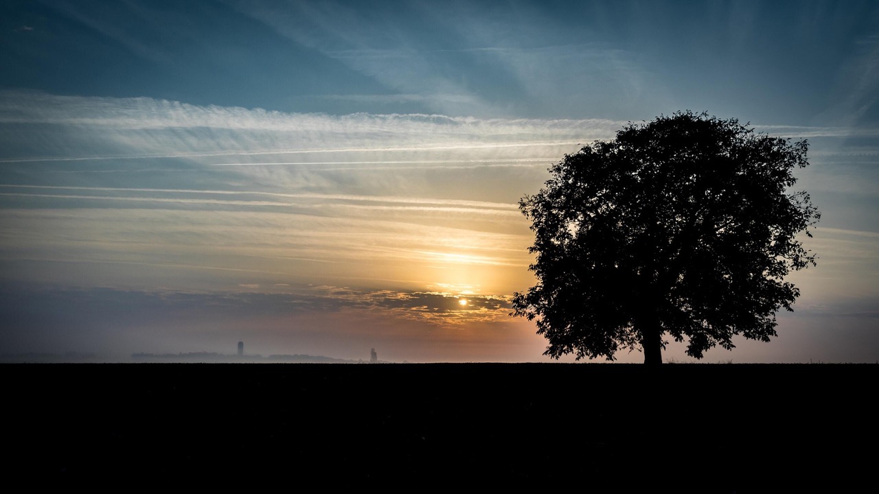 Photo of Others in Mouterre-Silly