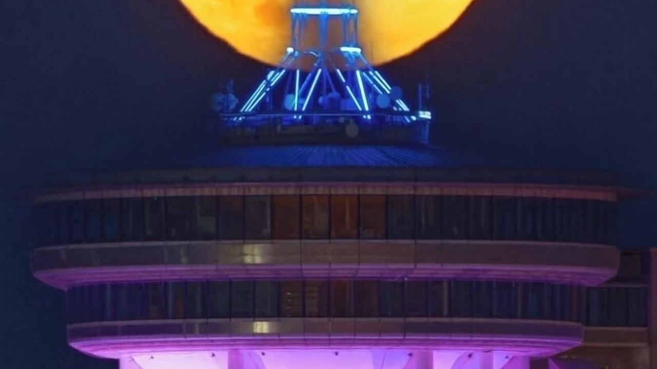 Photo of Others in Palavas-les-Flots