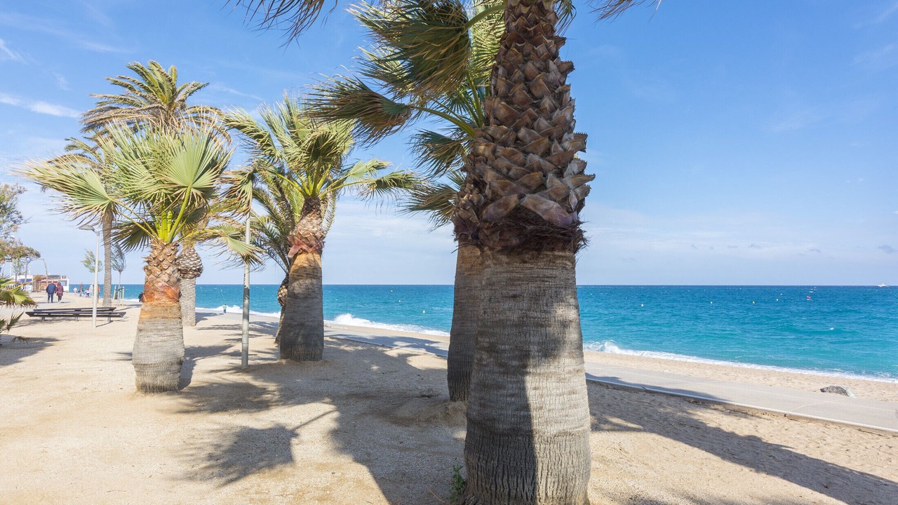 Photo of Others in Pineda de Mar