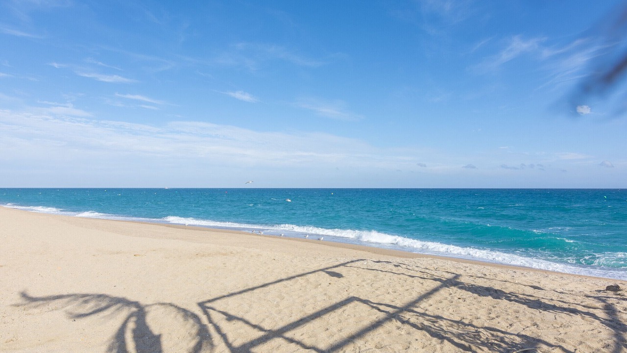 Photo of Others in Pineda de Mar