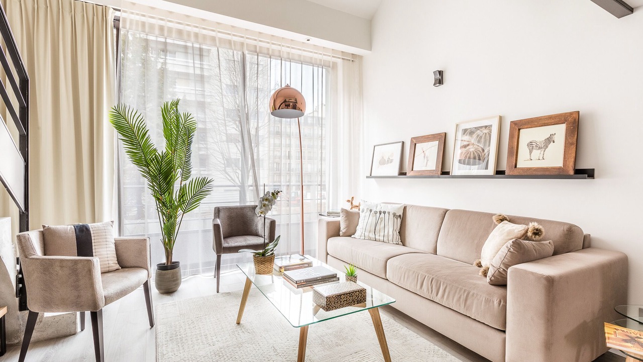 Photo of Livingroom in 15th Arrondissement