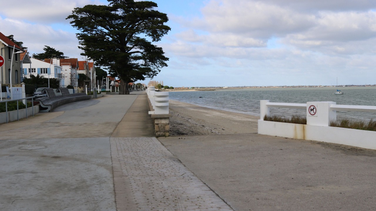 Photo of Others in Saint-Trojan-les-Bains