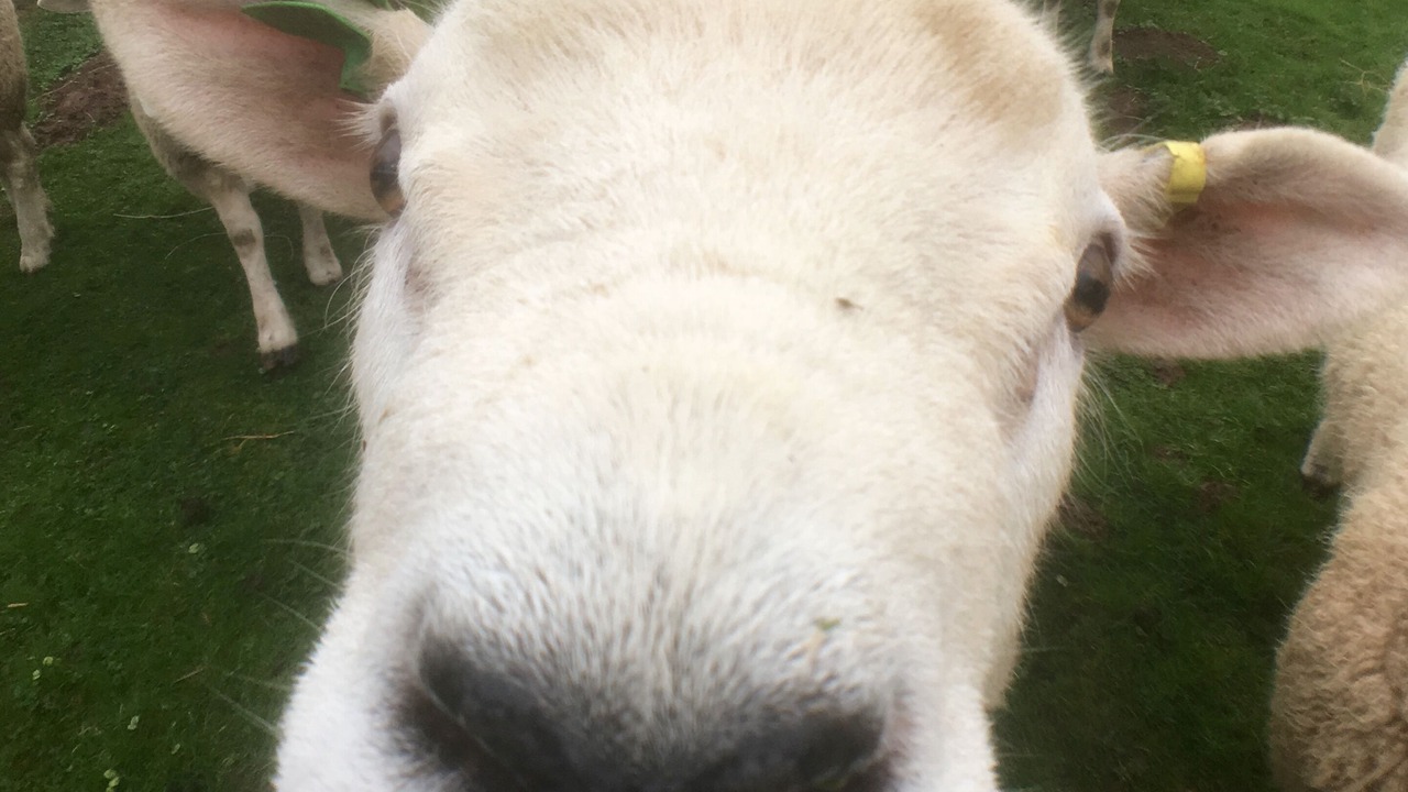 Photo of Outdoor in Bodenham