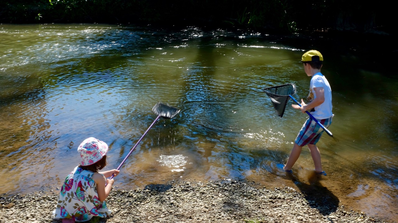 Photo of Others in Bodenham