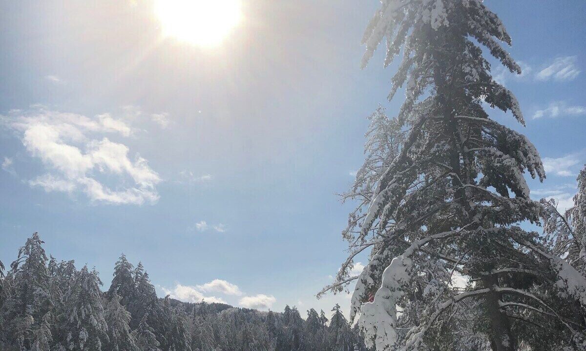 Photo of Others in Bolton Landing