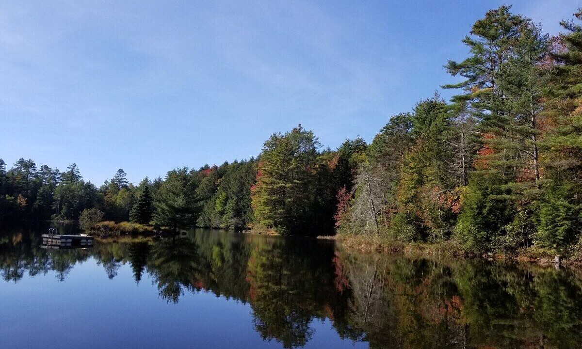 Photo of Others in Bolton Landing