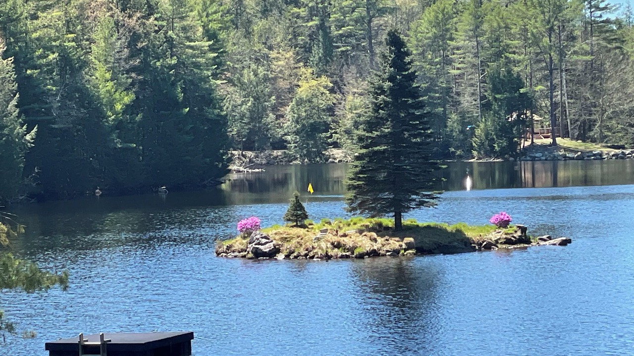 Photo of Others in Bolton Landing